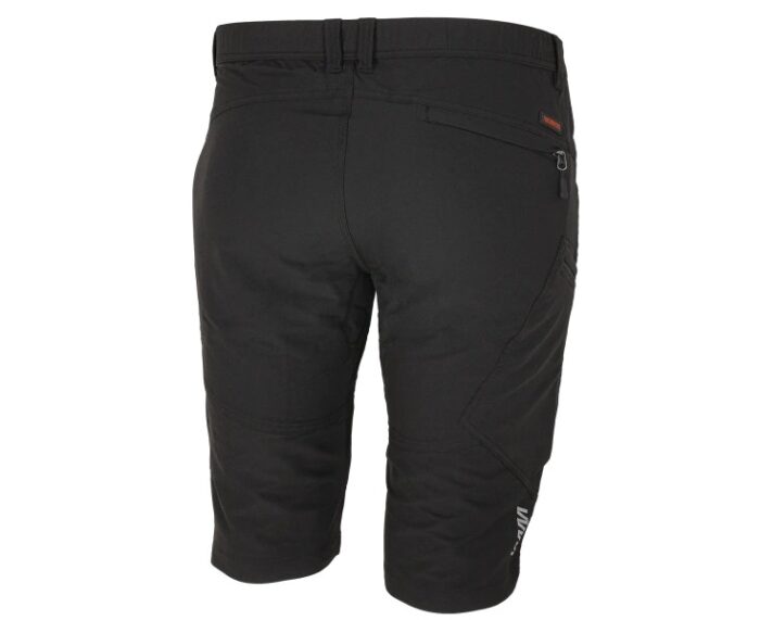 FOBOS Shorts black